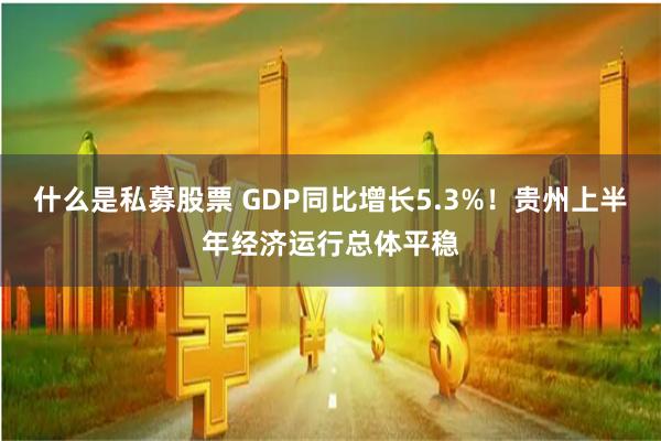 什么是私募股票 GDP同比增长5.3%！贵州上半年经济运行总体平稳