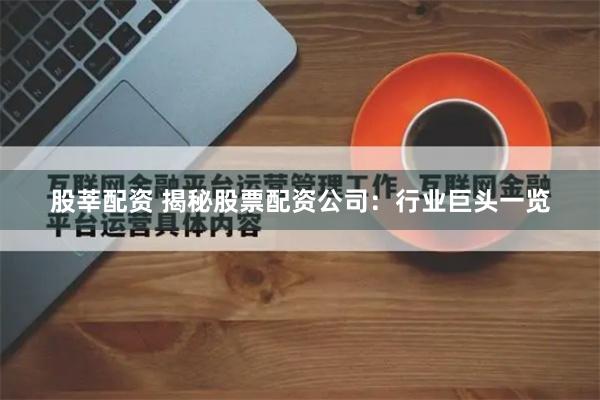 股莘配资 揭秘股票配资公司：行业巨头一览